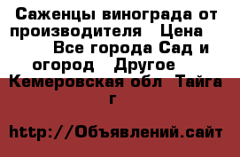 Саженцы винограда от производителя › Цена ­ 800 - Все города Сад и огород » Другое   . Кемеровская обл.,Тайга г.